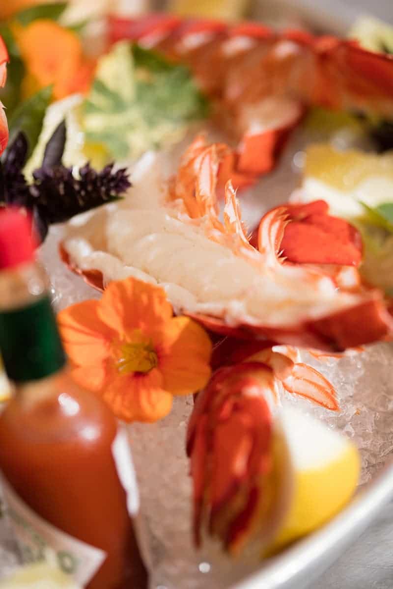 Seafood platter lobster tail on ice